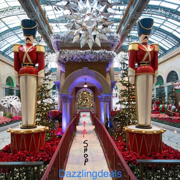 Dazzlingdeals Fun and Unique ITEMs - Picture 6 of 7